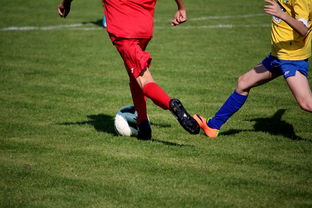 开云电竞app-世界台球联赛中国队勇夺团体亚军，世界台球联赛中国队勇夺团体亚军是谁