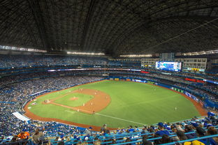 kaiyun官方入口登录-世界击剑锦标赛中国女花首次进四强，击剑世界冠军女